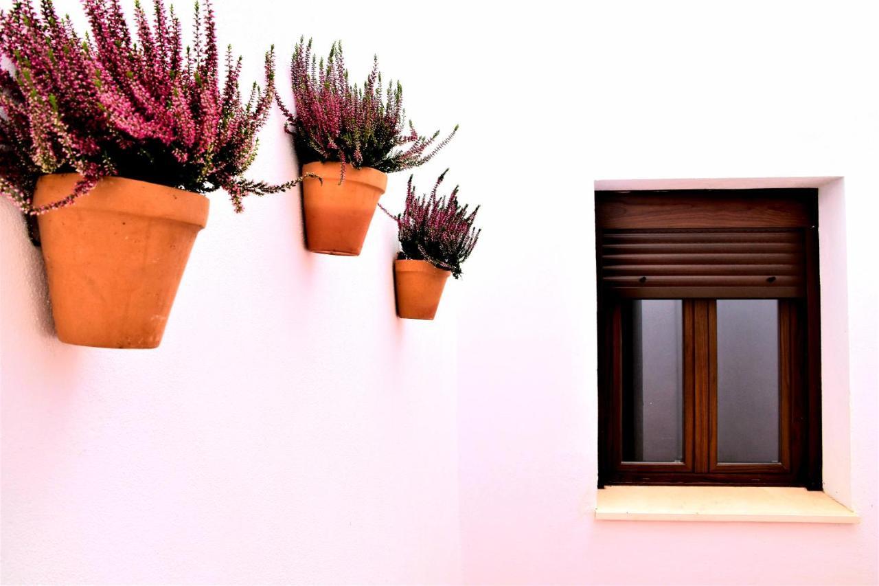 Apartamentos Turisticos Mamelon Χέρεζ Εξωτερικό φωτογραφία